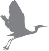 heron.png